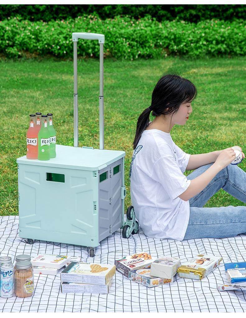 Foldable Portable Grocery Picnic Trolley Storage Cart Box - Image 6